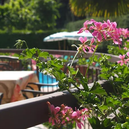 Casa Serena Готель Мальчезіне
